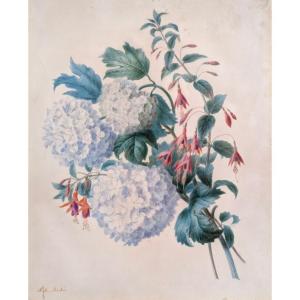 Riche Adèle (1791-1887) - Throwing Flowers - Gouache Watercolor And Black Pencil On Vellum