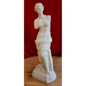 Venus De Milo – Large Study Model In Carrara Marble, Italy, Late 19th – Early 20th Century