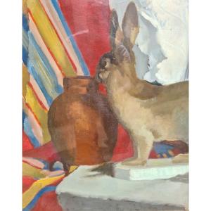 Rabbit