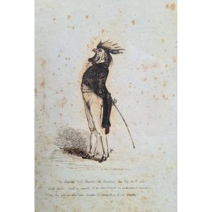 Pride Of The Rooster, Caricature