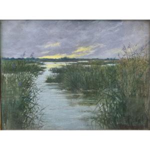 Marshes By William Julian-damazy