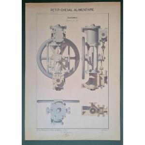 Industrial Drawing Of A Small Food-grade Horse 