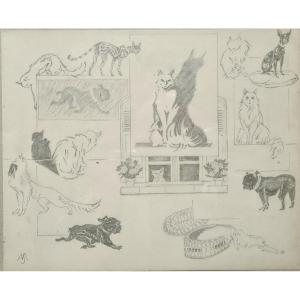 Between Cats And Dogs By Jacques Nam