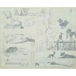 Between Cat And Dogs II By Jacques Nam