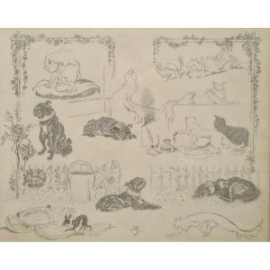 Between Cats And Dogs By Jacques Nam Vi