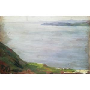 Landscape Hyères Andre Marchand