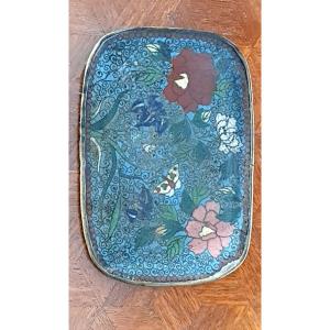 Email Cloisonnė Frost China XIX Eme Chinese Enamel Naturalist Butterfly