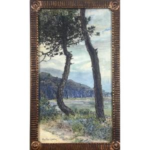 Marie-paule Carpentier - Les Pins - Watercolor Drawing