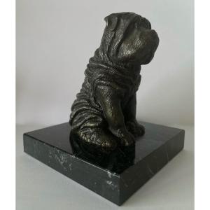 Bronze Subject Representing A Sharpei