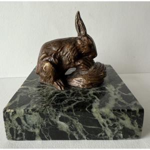 Small Bronze Hare