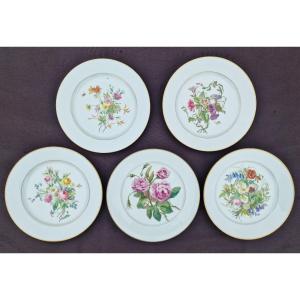 Lot Of 5 Sèvres Porcelain Plates From 1857 To 1864 Decorated With Bouquets Of Insect Flowers