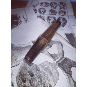 Baradelle, Turned Blonde Horn, Incomplete, 19thc Or Earlier