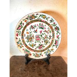 Pretty Small Chinese Porcelain Dish, Canton White Background, Birds & Butterflies Fruits, 19thc