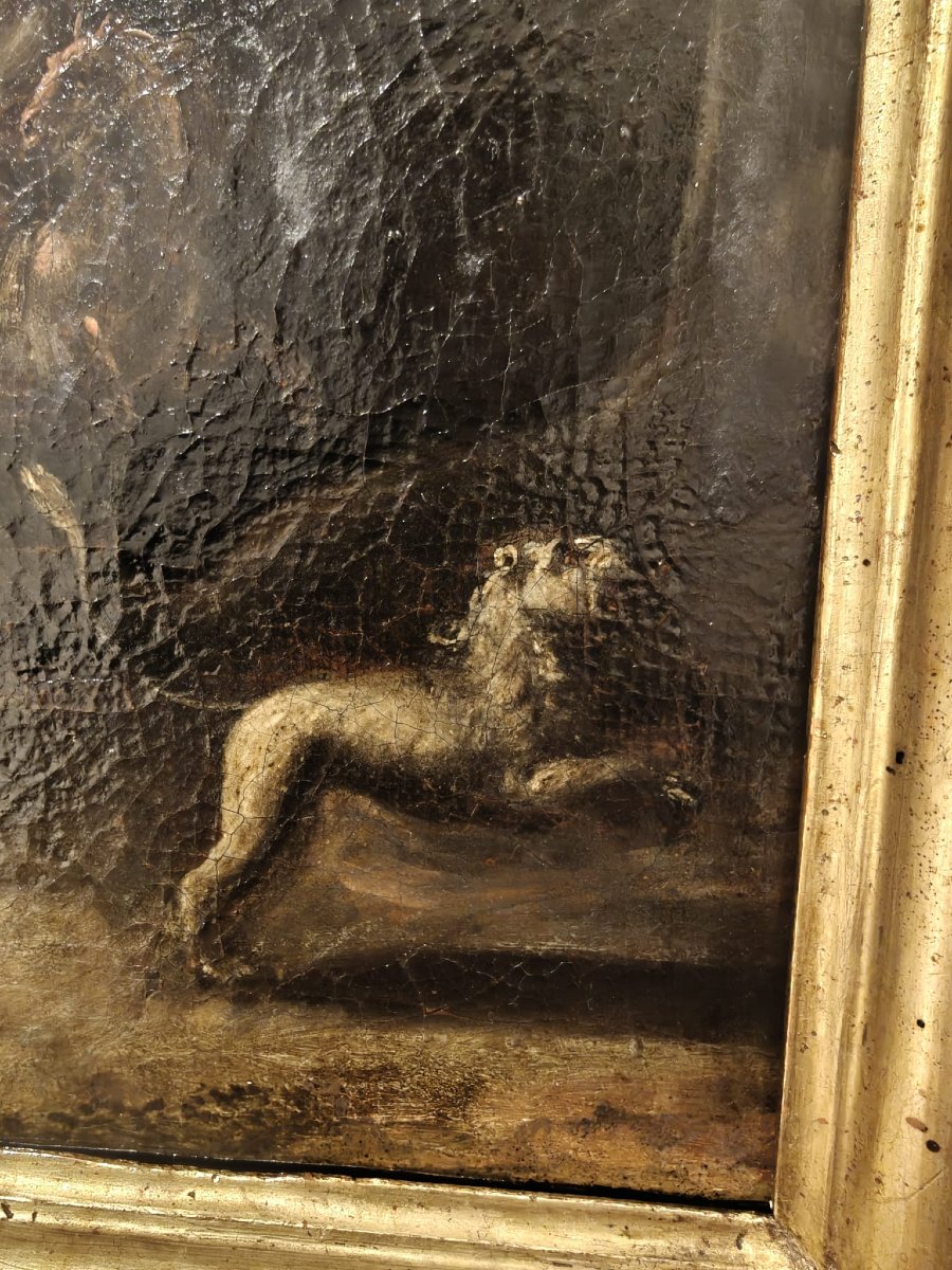 Caccia al leone-photo-3