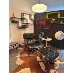 Dedal Wall Shelves By Mathieu Matégot