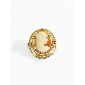 Shell Cameo Brooch