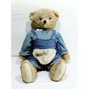 Teddy Bear
