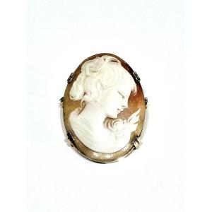 Gold Shell Cameo Brooch