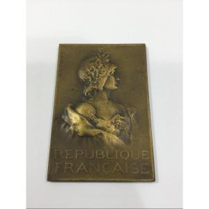 S. E. Vernier - French Republic Medal