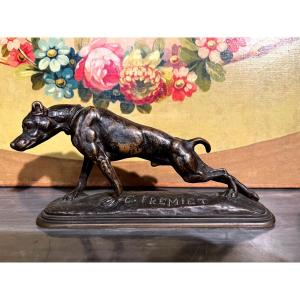 Bronze, Fremiet Dog, XIX Th.