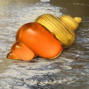 Dior, Robert Goossens, Seashell Brooch