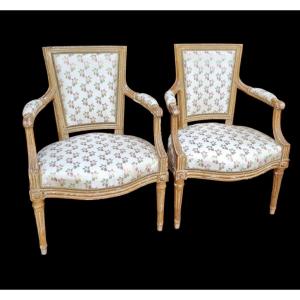 PAIRE DE,FAUTEUILS EN CABRIOLET CABRIOLETS STYLE LOUIS  XVI LAMPAS RUBELLI