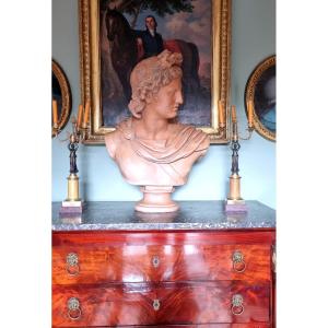 Large Terracotta Bust, 78 Cm, Apollo Of The Belvedere, Grand Tour 