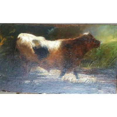 Barbizon School - Oil Bull Animal XIXe