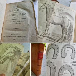 Philippe Etienne Lafosse Marshal's Guide Hippology Riding Horse Horses