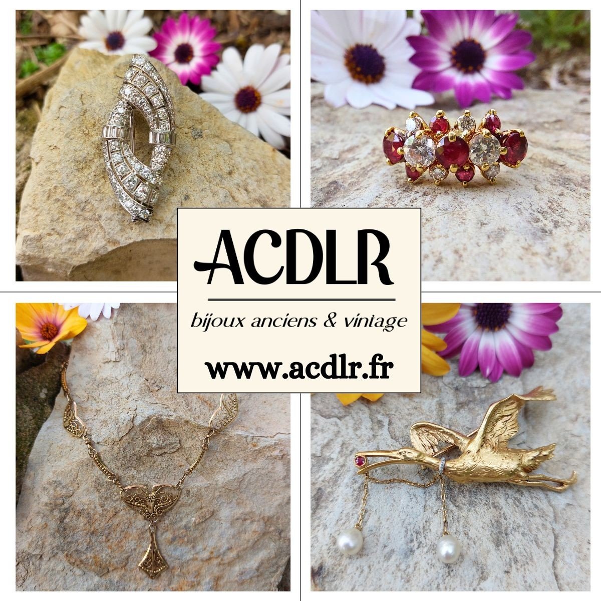 ACDLR