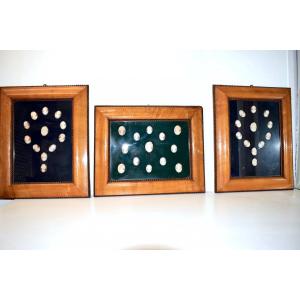 Collection Of 36 Camés Shell After The Antique 3 Frames Charles X XIX Ref537