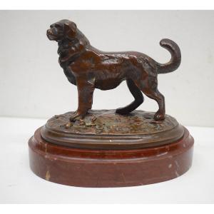 Animal Bronze Saint Bernard Mountain Dog XIXth Ref643