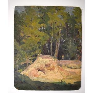 Maurice Busset Countryside Scene And Undergrowth Auvergne Murols School Ref1107