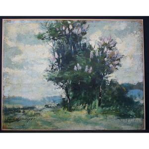 Signed Post-impressionist Landscape To Be Identified 20th Century Rt1274