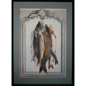 Elisa Champin 19th Century Colour Lithograph Fishing Trophy Fish Rt1410