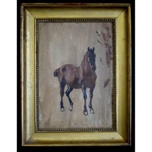 Jean Huber, Known As Huber-voltaire (1721-1786), Switzerland, Study Of A Horse, 18th Century, Rt1419