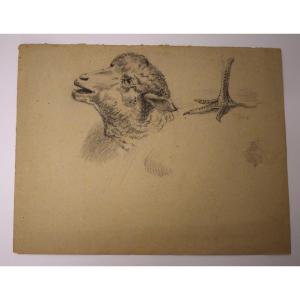 Black Stone Drawing Study Of Sheep And Chicken Foot Barbizon School Rm03