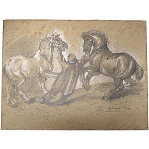 Lead Pencil Drawing Lad Chevaux d' Après Géricault Refm01