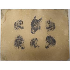 Drawing Study Of Horses And Donkey French School Entourage Of Carle Vernet Rm03