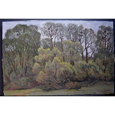Yuri Mochkin Russian Moscow School Landscape Forest XX Rt229