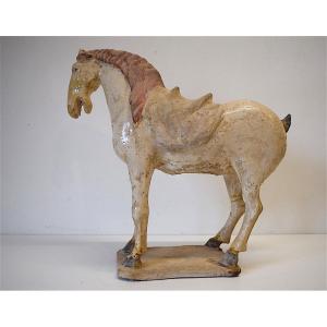 Chinese Ceramic Horse Tang Ancient White Terracotta China Chinese Chinese China Ref208
