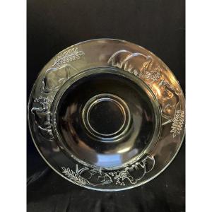 Mammoth Cup Verlys France 