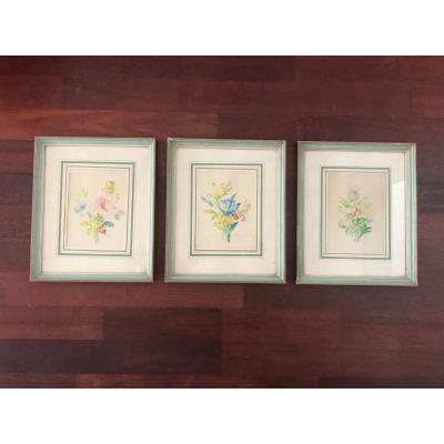 Ensemble De Trois Aquarelles De Fleurs