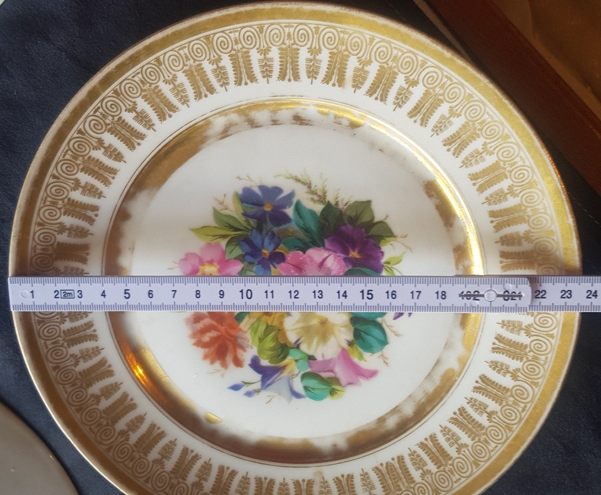 Insieme di 12 piatti in porcellana decoro floreale dipinto Ginori Doccia-photo-5