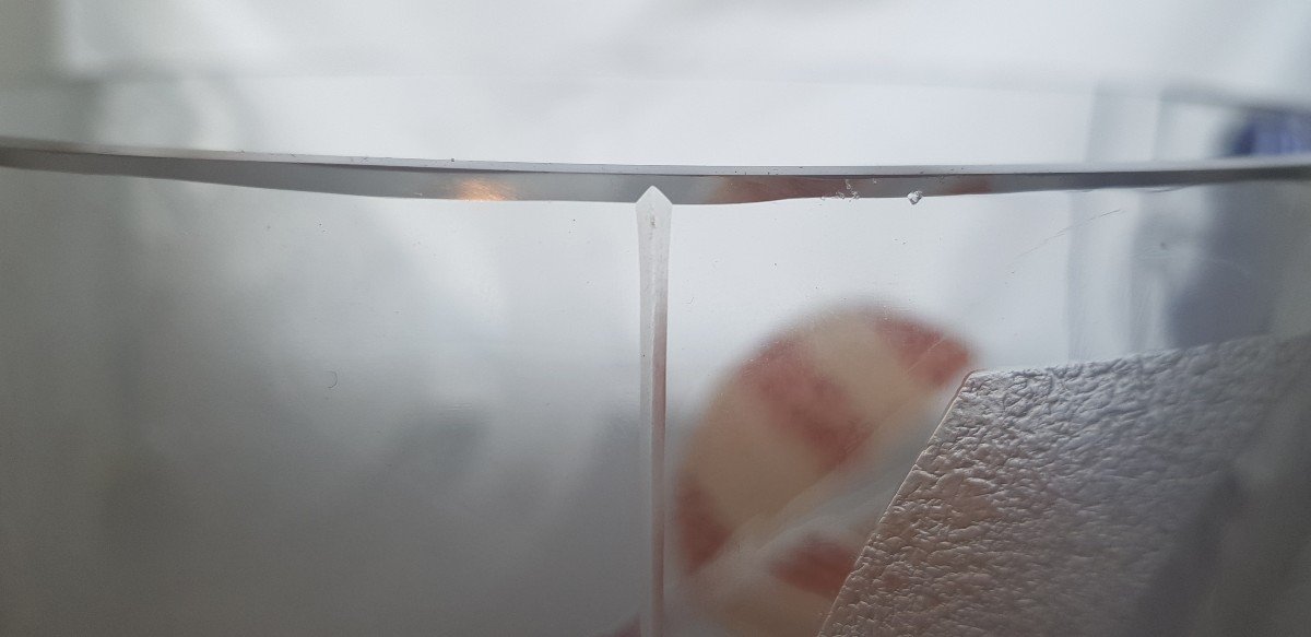 Vaso Art dDecò con decoro geometrico di foglie stilizzateinciso all'acido -photo-3