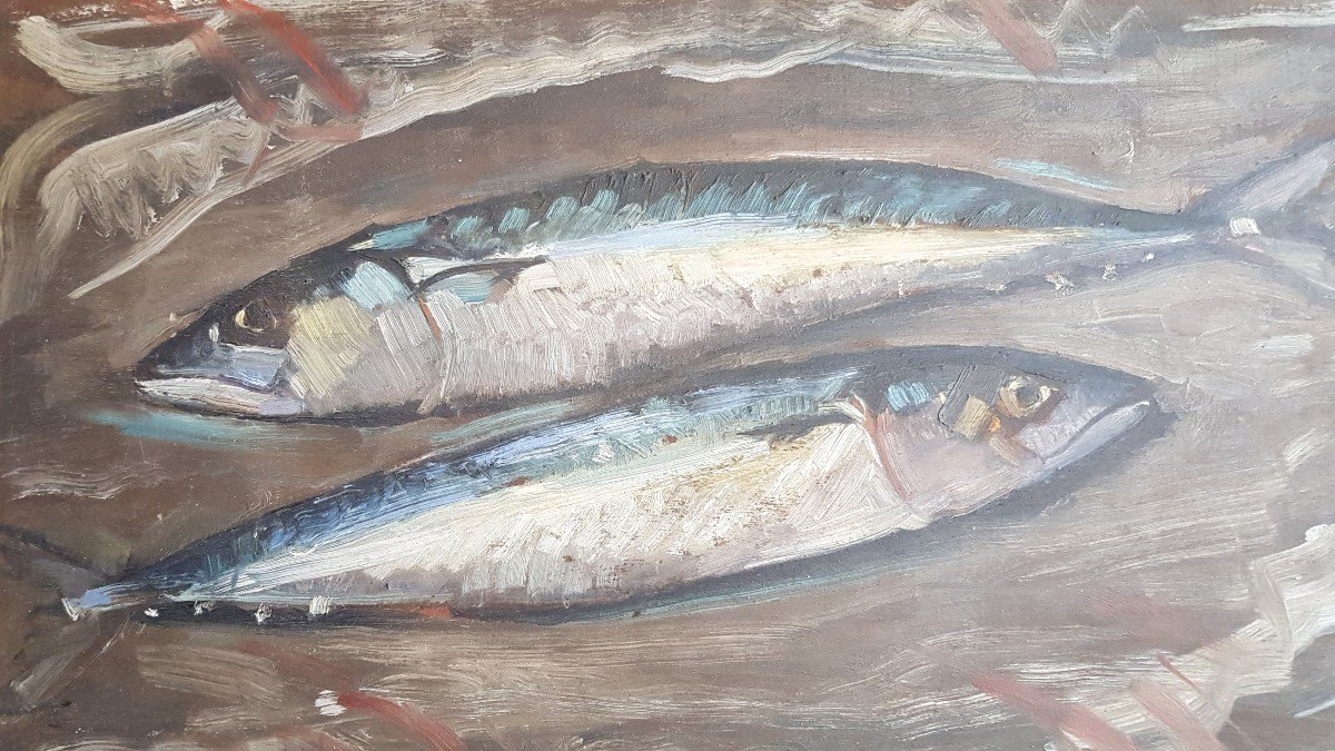 natura morta con pesci olio su tavola inizio XX secolo-photo-2