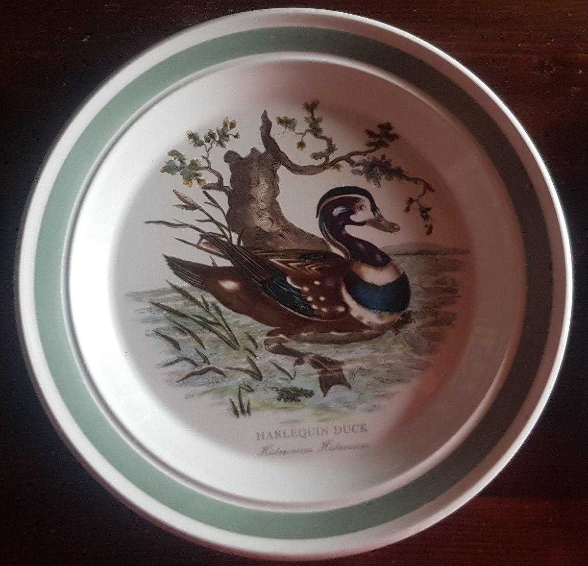 Due antichi piatti di Portmeirion Birds of Britain E. Donovan anatra arlecchino e Piga-photo-2