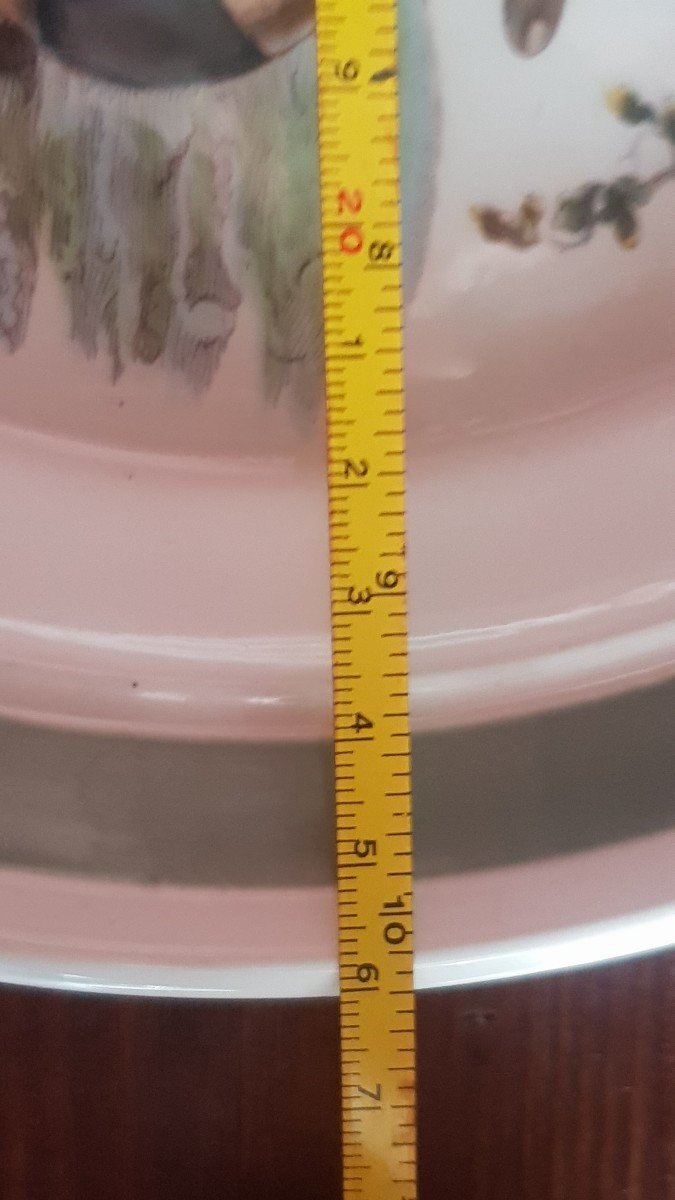 Due antichi piatti di Portmeirion Birds of Britain E. Donovan anatra arlecchino e Piga-photo-5