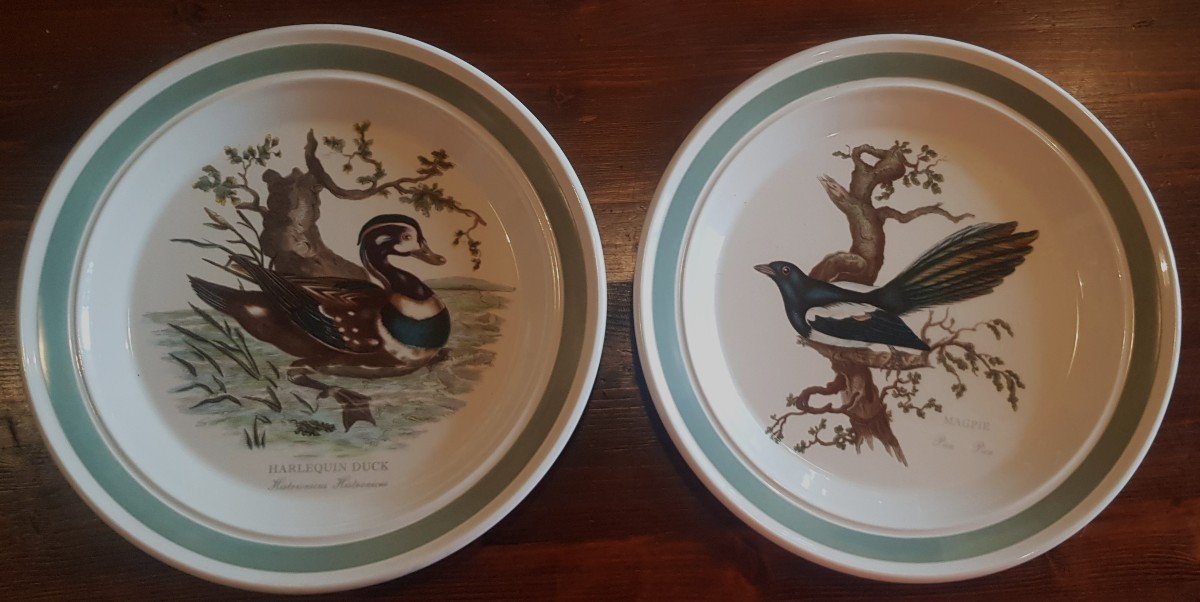 Due antichi piatti di Portmeirion Birds of Britain E. Donovan anatra arlecchino e Piga