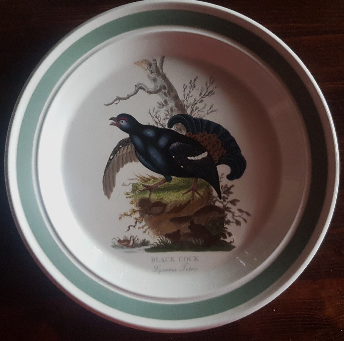 due piatti antichi Portmeirion  Birds Of Britain  E. Donovan Barbagianni e Gallo nero-photo-3